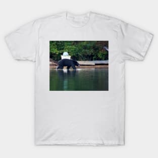 Island Black Bear T-Shirt